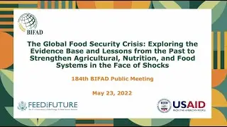 BIFAD&rsquo;s 184th Public Meeting on the Global Food Security Crisis