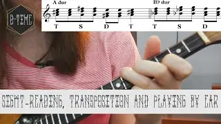 D-Time 31 