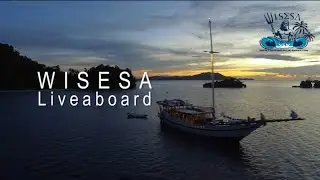 WISESA Liveaboard Indonesia - Dive, Surf, Snorkel the best area with us !