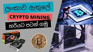 How to make a mining setup in SriLanka | How to choose a  graphic card for mining | GPU Mining