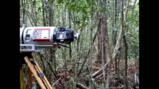 WUR-CIFOR Indonesia T-LIDAR scan before & after selective logging in Tropical Forest