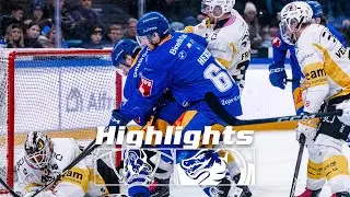 National League | EV Zug - HC Ajoie | Saison 2025-2026 | 16.01.2026