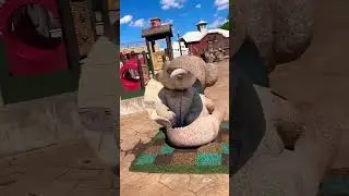 Teddy Bear Park ❤️July ,2024