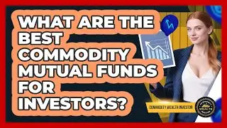 What Are The Best Commodity Mutual Funds For Investors? - Commodity Wealth Investor