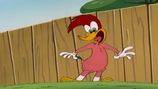 Pica-Pau | Os poderes especiais do Pica-Pau | Desenhos Animados em Português