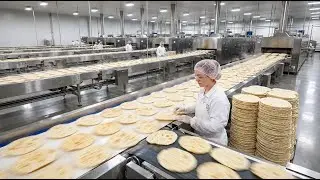 Inside the Largest Tortilla Factory – 1 Million Tortillas Made Every Day
