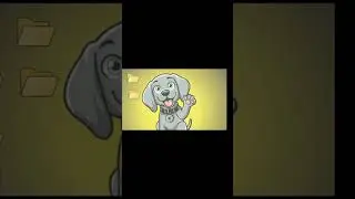 Best KRC20 | Top KRC20 Tokens | KRC20 Meme Coin | #kaspaw | $kpaw