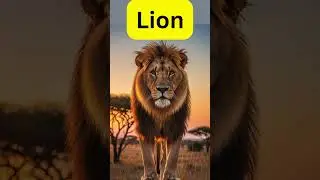 Animal Sounds for Kids 🐶🐱🐵 | Learn Animal Names & Sounds #Shorts
