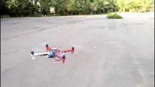 Apm 2.5 Dji f-450