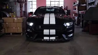 Making the Paint Shine on a Shelby Mustang