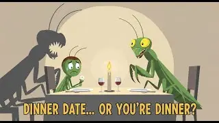 Why the Male Mantis Has the Worst First Date Ever | Dark Nature Facts