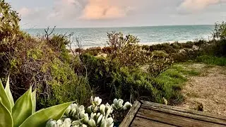 Eyre Pen. SA. &ldquo;Sea Haven&rdquo;, Smokey Bay, Pelubie Beach.