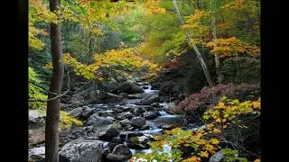 Nature Photography Prints, Landscape Prints Digital Download on Etsy  #digitaldownload