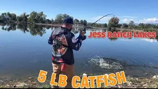 Сезон ловли и приготовления форели 2025 года на озерах Джесс Ранч / Pesca de Truchas en Jess Ranc...