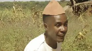 Lusaya Movies (The goat)