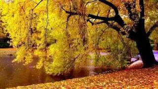 Golden Polish autumn - A.Mickiewicz Park - Lodz Poland