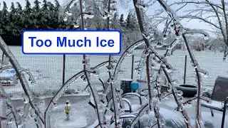 Portland once in 50 year ice storm tore through our city.