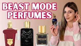 Beast Mode Fragrances For Fall And Winter  - Top 10 Long-Lasting Perfumes