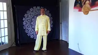 Weight shift in Yang Tai Chi