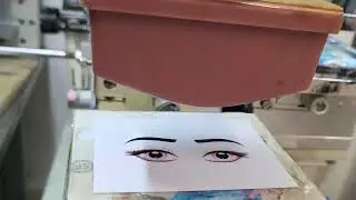 CMYK Pad Printing Sampling