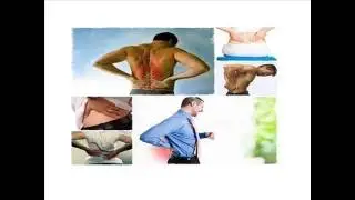 Back Pain Relief 4 Life Program - What Is Back Pain Relief 4 Life