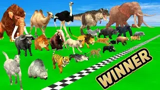 Maze Madness Race 23 Wild Animals vs Squid Game Doll, Which Is The Fastest Animal?