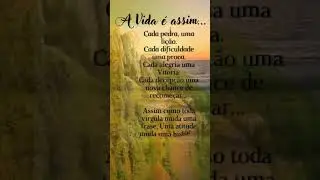 #Avidaeassim