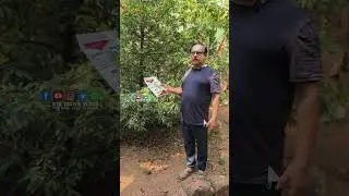 ജാതി കൃഷി വൺ ലാഭകരമാക്കാം | jathi krishi malayalam #agriculture #jaathikrishi