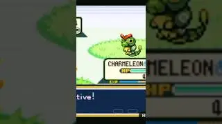 cartepie pok&eacute;mon #010