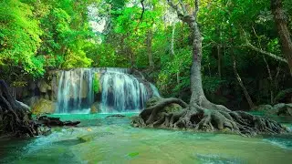 Beautiful Thai Waterfall: 10 Hours of Soothing Jungle River Sounds