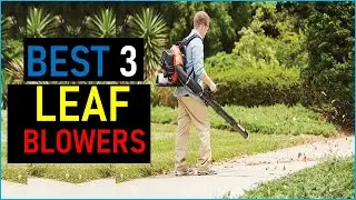 Top the 3 Best Leaf Blowers  in 2025