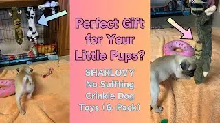 What I Think About The SHARLOVY No Stuffing Dog Toys