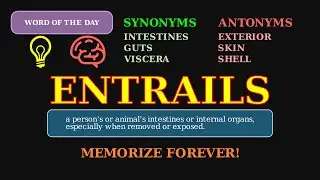 Entrails: The Word for Internal Organs 🐑🔪 A Biological & Historical Term