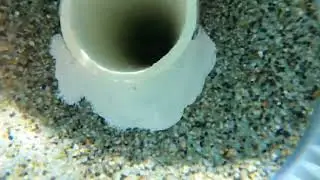 Void under main drain (Jhanjace - 8/25/25)