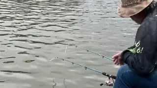 Achei o ninho das bocuda! Mais uma vez pescaria no 0800!!!