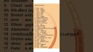 Parts of body in English/ Tamil
