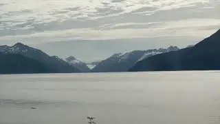 Kenai Fjords National Park | ALASKA | DFP | 4K