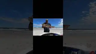 Slot redfish #shorts #fishing #surffishing #redfish