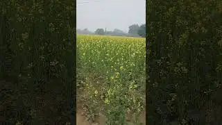 support kisaan bhai