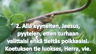 Soile Isokoski - Jeesus johdata tiemme kulkua