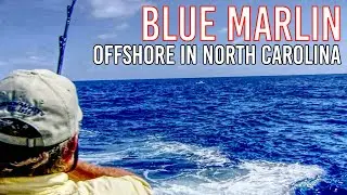 Epic Blue Marlin Fishing Adventure - Offshore Fishing in North Carolina