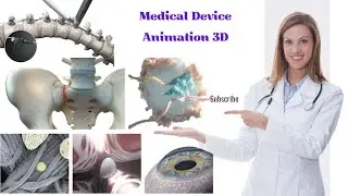 Medical Animation Demo Reel 3D Animation Video biology With Aliya