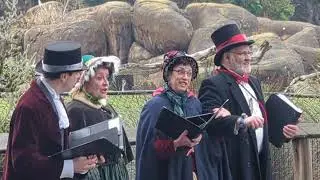 The Merrie Olde Christmas Carolers sing Jingle Bells  at the SF Zoo