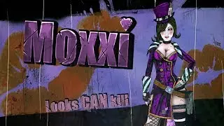 Borderlands 2 - [Mr. Torgue's Campaign of Carnage] - A MONTAGE