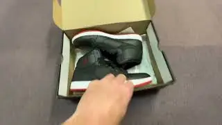 Deadstock Nike Jordan Access Bred StyleAR3762-001