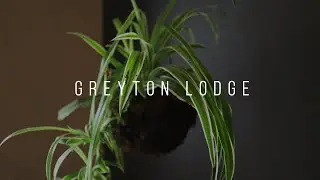 REAL ESTATE: Greyton Lodge