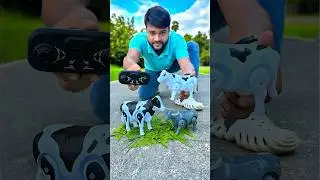 Small Buffalo and Big RC cow 🐄 Unboxing 😍