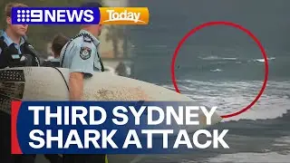 A shark attack at Manly beach has left a man fighting for his life | 9 News Australia
