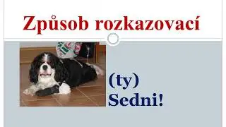 Slovesa, způsob rozkazovací