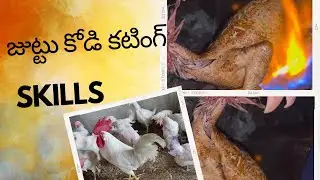 Simple juttu kodi cleaning cutting skills/జుట్టు కోడి కట్ చెయటం #cutting#cleaning #vairal #youtube